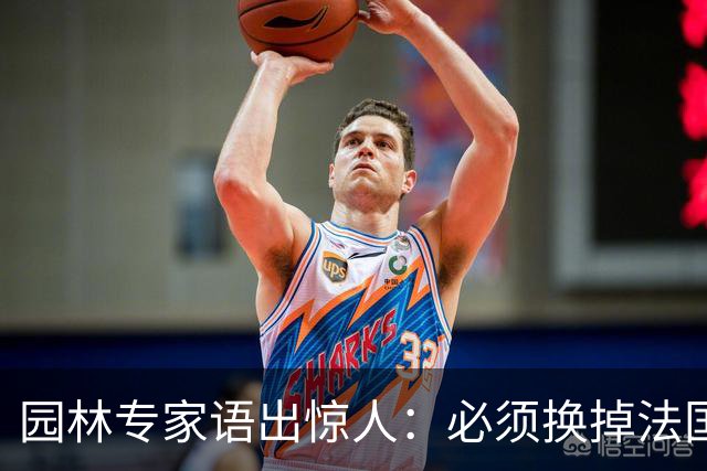 园林专家语出惊人：必须换掉法国梧桐，有很多中国好树被“雪藏”
